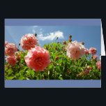 Monetの庭のバラ<br><div class="desc">フランスのGivernyの美しい庭に歩いて、1つは塀が漕ぐためにすばらしいピンクのバラを覆ったことを見ます。</div>