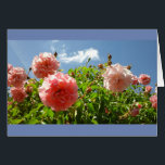 Monetの庭のバラ<br><div class="desc">フランスのGivernyの美しい庭に歩いて、1つは塀が漕ぐためにすばらしいピンクのバラを覆ったことを見ます。</div>