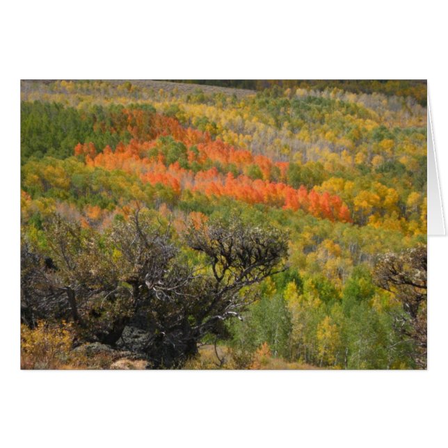 Monetの時 (正面横)