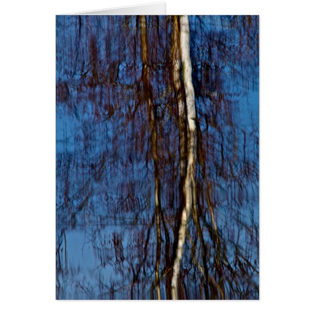 Monetの記憶 (正面)