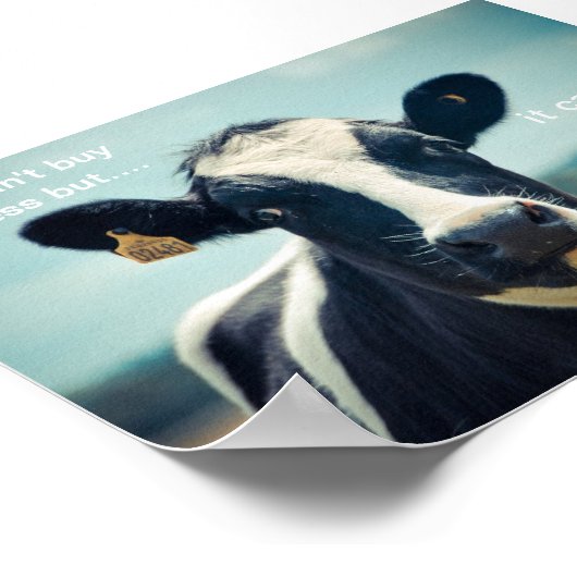 Money can buy cows ポスター (角)