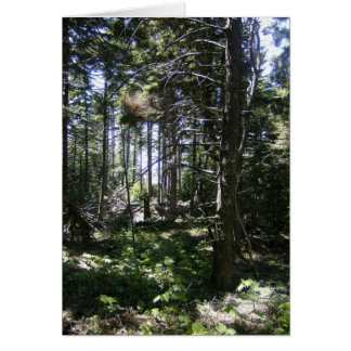 Monheganの妖精カード