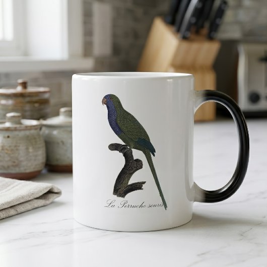 Monk Parakeet or Monk Parrot, Myiopsitta Monachus モーフィングマグカップ