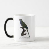 Monk Parakeet or Monk Parrot, Myiopsitta Monachus モーフィングマグカップ (左)
