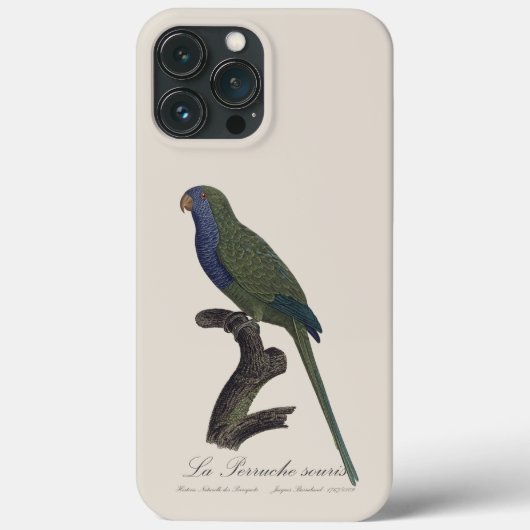 Monk Parakeet or Monk Parrot, Myiopsitta Monachus Case-Mate iPhoneケース (裏面)
