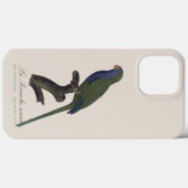 Monk Parakeet or Monk Parrot, Myiopsitta Monachus Case-Mate iPhoneケース (裏面 (横))