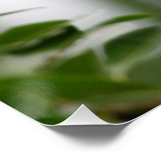 Monkey_2014_1201 ポスター (コーナー)