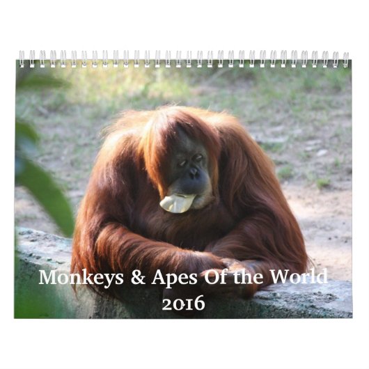 Monkey and Apes of the World 2016カレンダー カレンダー (カバー)