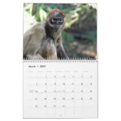 Monkey and Apes of the World 2016カレンダー カレンダー (3月 2027)