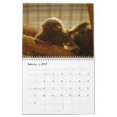 Monkey and Apes of the World 2016カレンダー カレンダー (2月 2027)