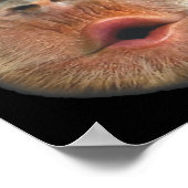 Monkey Blowing Stomach Face ポスター (角)