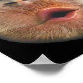 Monkey Blowing Stomach Face  ポスター (角)