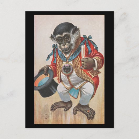 Monkey dressed up - vintage German postcard ポストカード (正面)