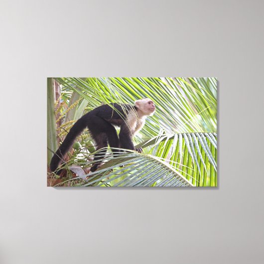 Monkey in Bamboo Jungleの写真 キャンバスプリント (正面)