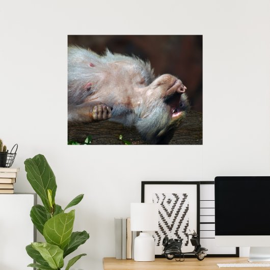 Monkey just chill ポスター (ホームオフィス)