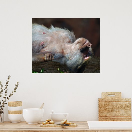 Monkey just chill ポスター (キッチン)