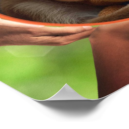 MONKEY LOVE ALWAYS WINS WALL ART ポスター (角)