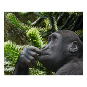 Monkey Puzzle. ポスター (正面)