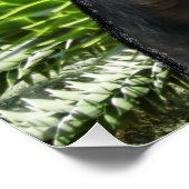 Monkey Puzzle. ポスター (コーナー)