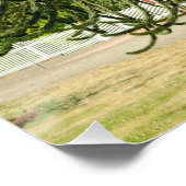 Monkey Puzzle. ポスター (コーナー)