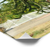 Monkey Puzzle. ポスター (コーナー)