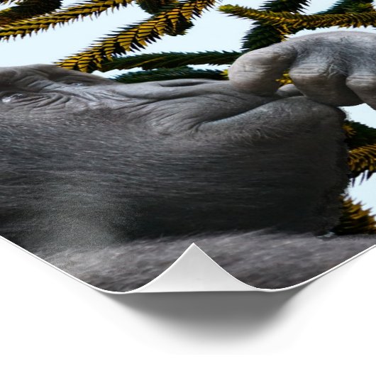 Monkey Puzzle. ポスター (コーナー)