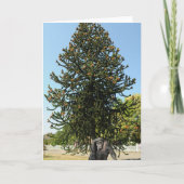 Monkey Puzzle & Puzzled Gorilla. カード (正面)