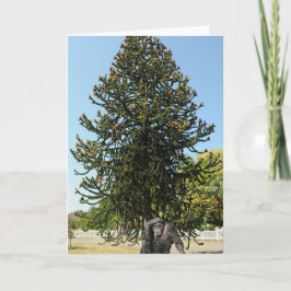 Monkey Puzzle & Puzzled Gorilla. カード