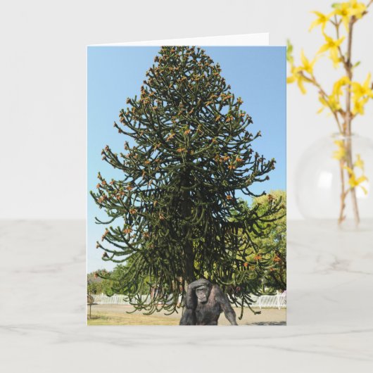 Monkey Puzzle & Puzzled Gorilla. カード (黄色い花)