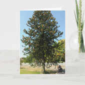 Monkey Puzzled. カード (正面)