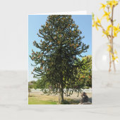 Monkey Puzzled. カード (黄色い花)