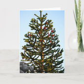 Monkey Puzzled. カード (正面)