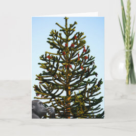 Monkey Puzzled. カード