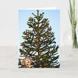 Monkey Puzzled. カード