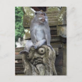 Monkey sitting at a statue in Bali ポストカード (正面)