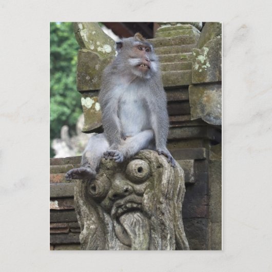 Monkey sitting at a statue in Bali ポストカード (正面)