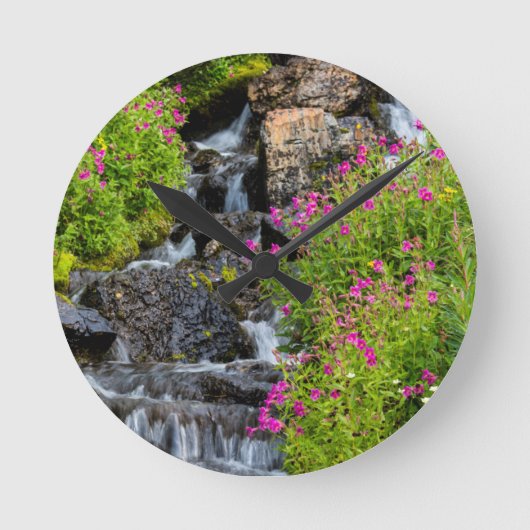 Monkeyflowers Along Lunch Creek In Glacier ラウンド壁時計 (正面)