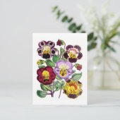Monkeyflowers Vintage Botanical Postcard ポストカード (スタンド正面)