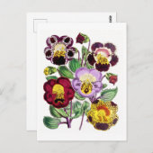 Monkeyflowers Vintage Botanical Postcard ポストカード (正面/裏面)