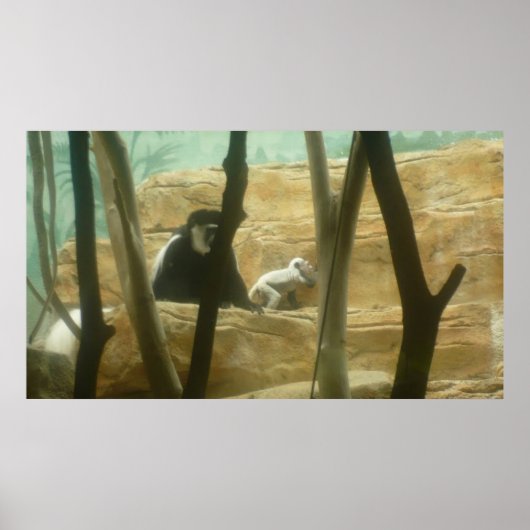 Monkeying のまわりに ポスター (正面)