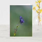 Monk'shood1 カード (黄色い花)