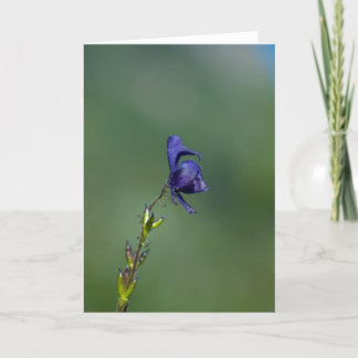 Monk'shood1 カード