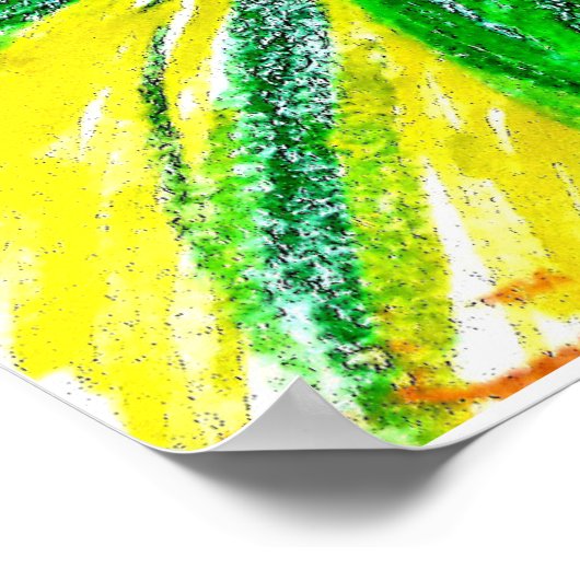 Monochromatic, Rosas, Dianthus caryophyllus,  Gerb ポスター (角)