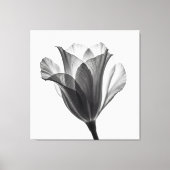 Monochrome botanical fine art photograph キャンバスプリント (正面)
