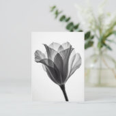 Monochrome botanical fine art photograph ポストカード (スタンド正面)