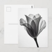Monochrome botanical fine art photograph ポストカード (正面/裏面)
