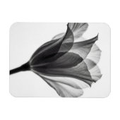 Monochrome botanical fine art photograph マグネット (横)