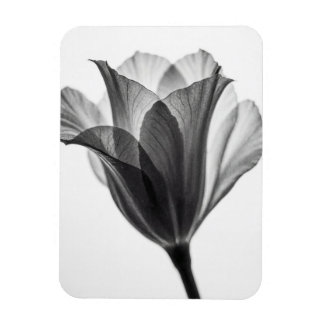 Monochrome botanical fine art photograph マグネット