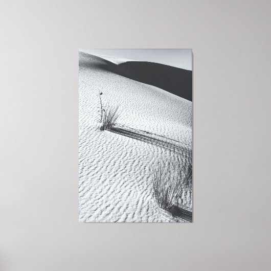 Monochrome Desert Landscape with Grass Tufts キャンバスプリント (正面)