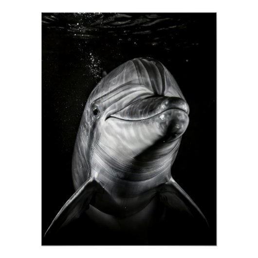  Monochrome Dolphin Portrait - Underwater Marine A ポスター (正面)